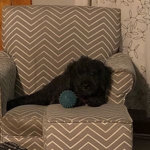 Meet your Posher, Natasha